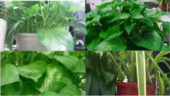 2MT-4XXX Series User Guide 2 Picture 14 335w189h