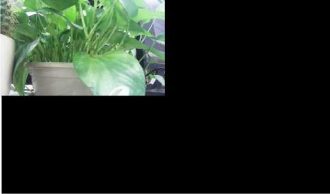 2MT-4XXX Series User Guide 3 Picture 15 330w194h